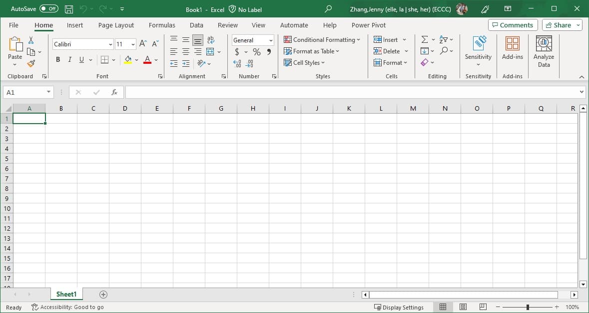 An empty Excel spreadsheet